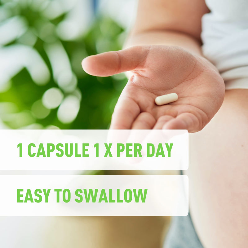 [Australia] - Vela Saw Palmetto Extra Strength High Absorption Supplement Capsules - No Bad Smell - 1 Capsule x Day - 600 mg Capsule (100 Count) 