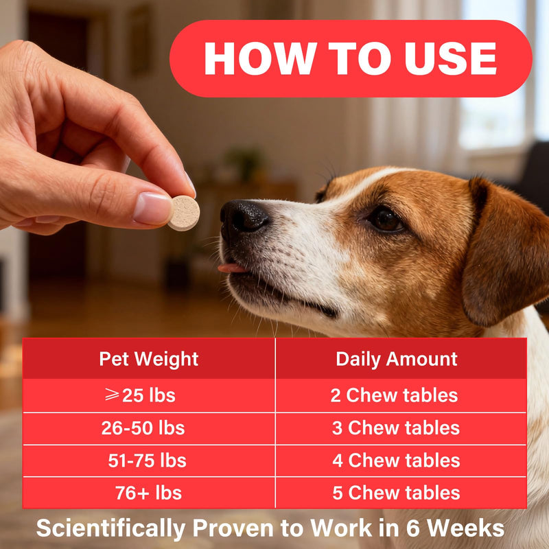 Iron Supplement for Dogs, – Supports Blood Health, Red Blood Cell Formation & Oxygen Supply, for Anemia, Vitamin C, Folate, Vitamin B12, Boost Energy, and Improve Blood Circulation, 120 Tablets