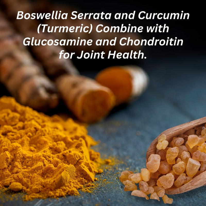 INVIGOFLEX® AMPM - Glucosamine & Chondroitin Sulfate - Turmeric Curcumin - Boswellia Serrata (Non GMO) for Knees, Hands, Back and Hip 24 - Hour Premium Joint Supplement 120 Count (Pack of 1)