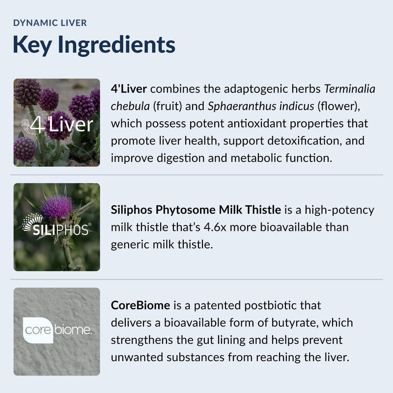 [Australia] - Stonehenge Health Dynamic Liver Supplement, Supports Detoxification, Liver Health, Cholesterol and Triglyceride Levels, & Healthy Digestion*, 60 Capsules 
