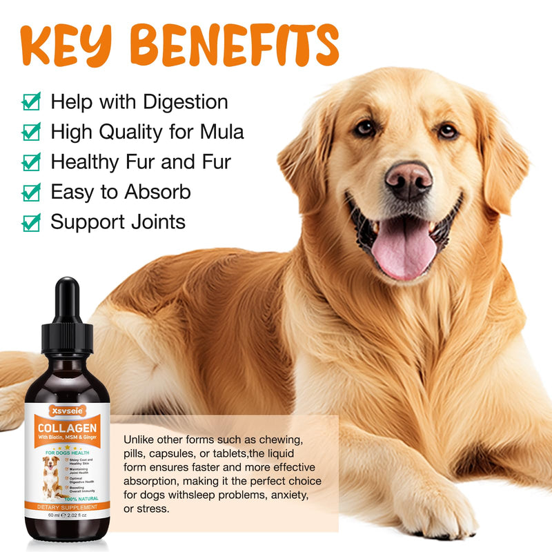 Liquid Collagen for Dogs Added Natural Pet Probiotics, Enhance Joint Support and Mobility, Collagen for Dogs Relieve Pet Skin Allergies, Itching, Supports Joint, Skin & Coat Health, All Breeds & Ages