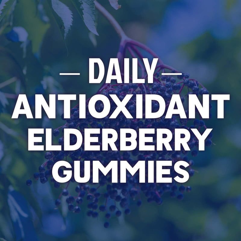 Elderberry Immune Support Gummies - 3X Strength Sambucus Elderberry Gummy with Vitamin C, D3 & Zinc - Nature’s Black Elderberry Extract - Immune Support Supplement for Adults & Kids - 60 Gummies 60 Count (Pack of 1)