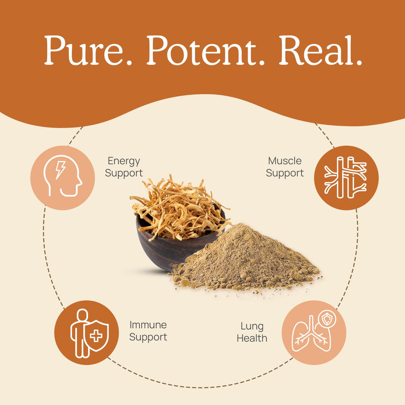 [Australia] - Real Mushrooms Supplement Capsules - Cordyceps Mushroom Powder Rich in Beta Glucans - Mushroom Pills Cordyceps for Energy and Performance - Vegan, Non-GMO, No Grain Fillers, 120 ct Cordyceps Capsule 120 Count (Pack of 1) 