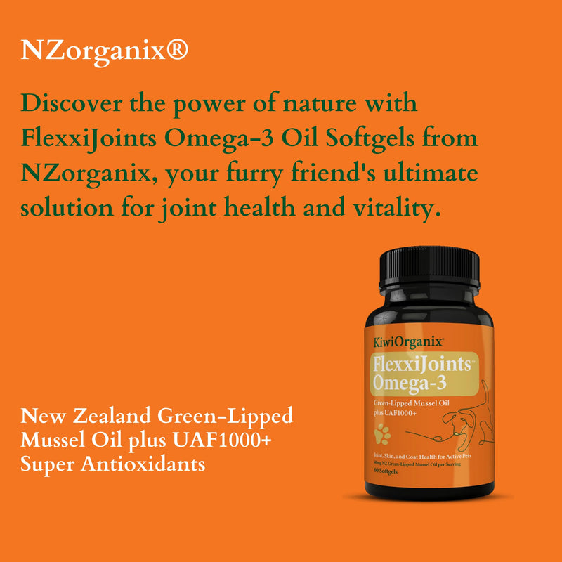 FlexxiJoints Omega-3 Hip and Joint Supplement • Green-Lipped Mussel Omega-3 Oil for Dogs • 100% New Zealand Green-Lipped Mussels (60 Softgels) - PawsPlanet Australia