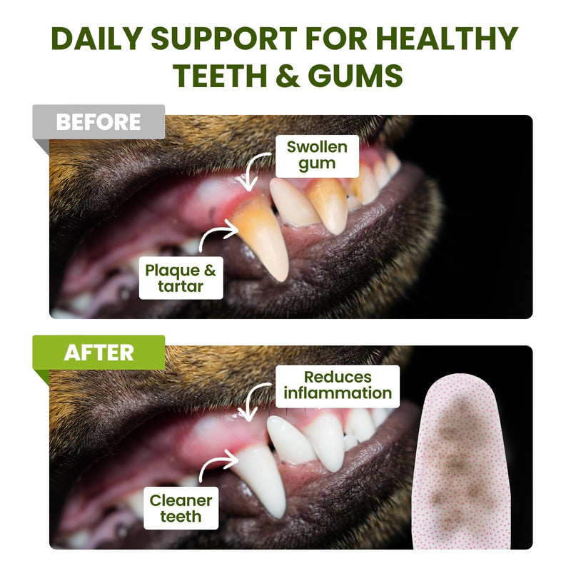 [Australia] - Dog Teeth Cleaning Wipes, Fresh Breath Pet Dental Finger Wipes for Dogs & Cats, Dog Dental Wipes Teeth Wipes, Lick-Safe Pet Toothbrus for Easy Removal of Tartar Buildup, Unscented - 50 PCS 