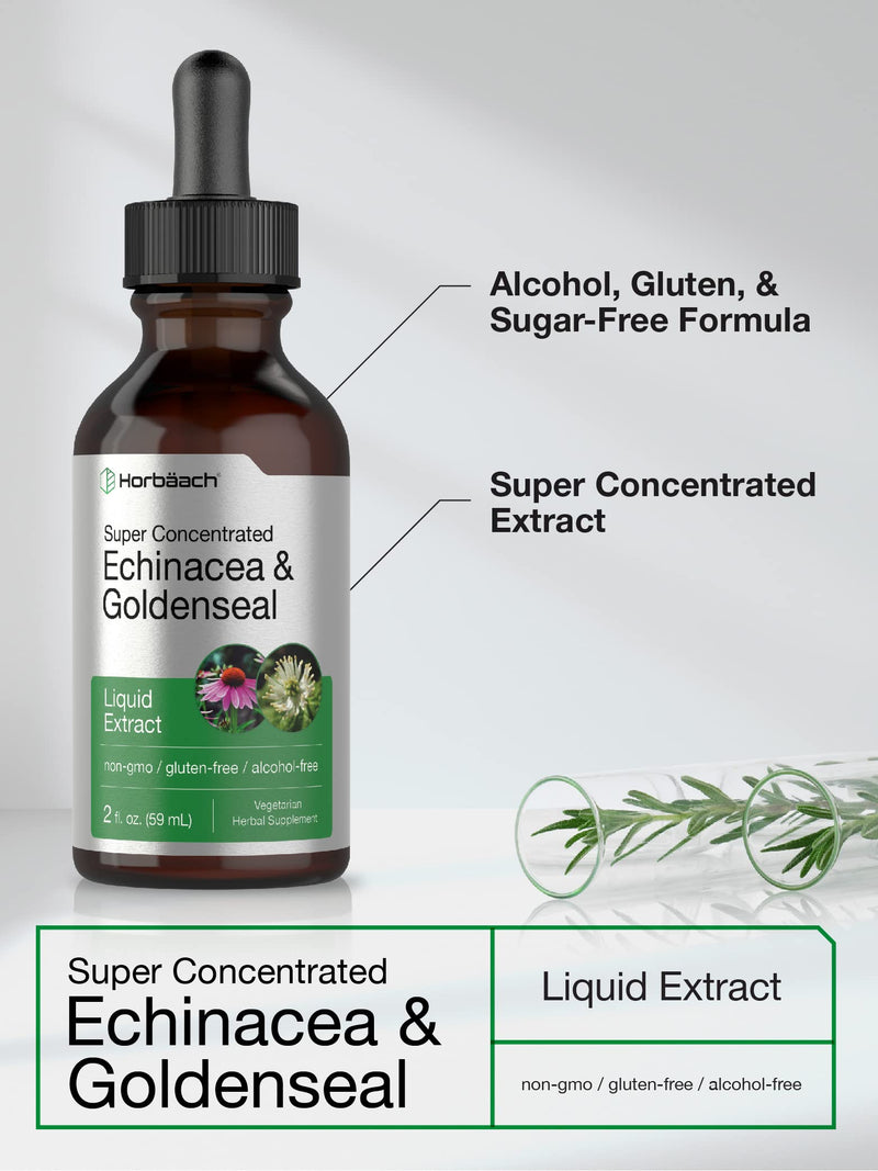 Horbäach Echinacea Goldenseal Liquid Extract | 2 fl oz | Alcohol Free Tincture Drops | Vegetarian, Non-GMO, Gluten Free