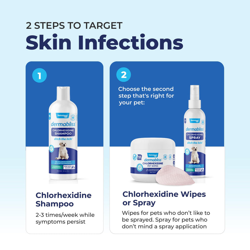 Vetnique Dermabliss Hot Spot Treatment for Dogs - Antiseptic Medicated Chlorhexidine Spray - Vet Recommended for Skin Infections, Hot Spots & Irritation (Hot Spot Spray, 8oz) - PawsPlanet Australia