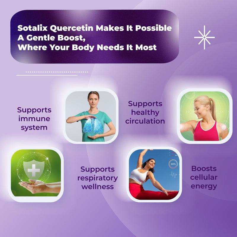 [Australia] - SOTALIX Supplement Premium Quercetin 98% High Purity with Bromelain, Zinc, Vitamin D3 2000 IU, Elderberry - Cardiovascular Respiration Immune Support for Adult Kids - 180 Day Supply 