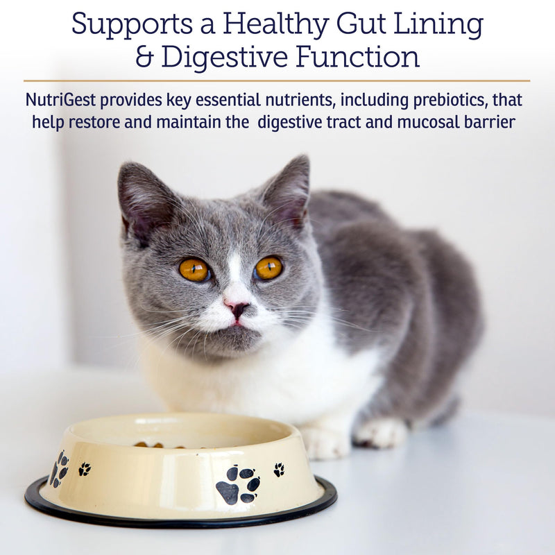 Rx Vitamins NutriGest Capsules for Cats & Dogs - 90ct | Probiotics and Prebiotics for Digestive Health - Supports Gut Flora - Helps with Constipation Relief and Bowel Function New Label