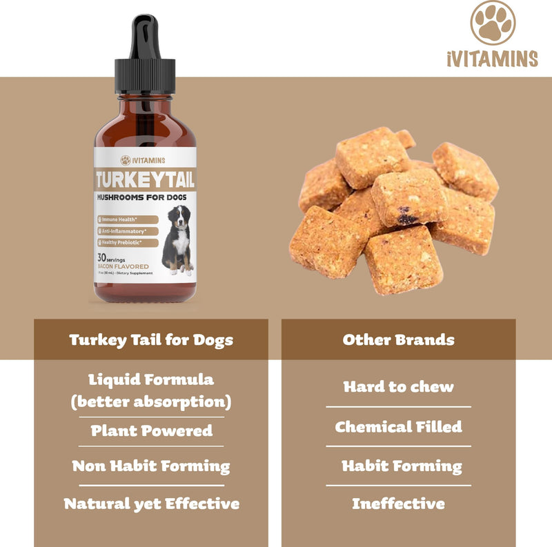 Turkey Tail Mushroom for Dogs | Helps to Boost The Immune System, is a Healthy Prebiotic, & Much More | Turkey Tail for Dogs | Mushrooms for Dogs | Dog Mushroom Supplements | 1 fl oz - PawsPlanet Australia