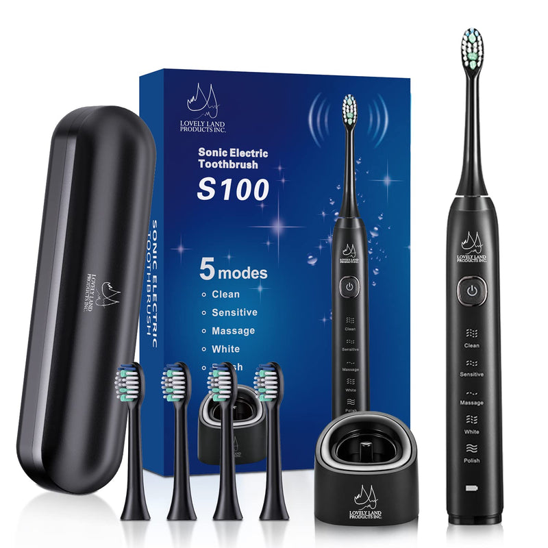 Sonic Electric Toothbrush for Adults, Rechargeable Toothbrush with 4 Replacement Brush Heads & 5 Modes , Travel Case, Ultra Sonic Toothbrush for 99% removing plaque, 2-Min Smart Timer