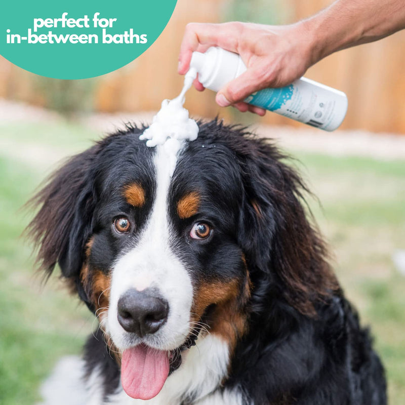 Mighty Mutt Waterless Dry Shampoo for Dogs + Detangling Rubber Brush | Hypoallergenic, de-Shedding and de-tangling | 2 Pack Bundle - PawsPlanet Australia