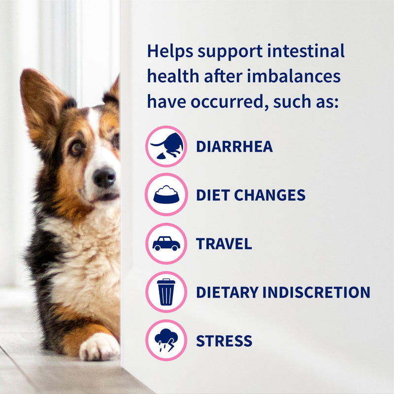 Nutramax Proviable Probiotics + Prebiotics, for Dogs & Cats, Capsules, 80ct | Probiotics and Prebiotics for Cats and Dogs, Daily Gut Health Support Supplement, Multiple Strains, Sprinkle on Food 80 Count