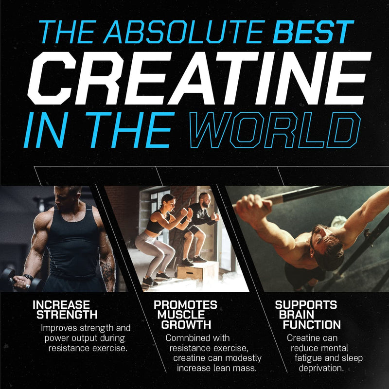 [Australia] - Muscle Feast Creapure Creatine Monohydrate Powder, Vegan Keto Friendly Gluten-Free, Mass Gainer, Muscle Recovery Supplement and Best Creatine for Muscle Growth, Unflavored, 300g 55 Servings (Pack of 1) 