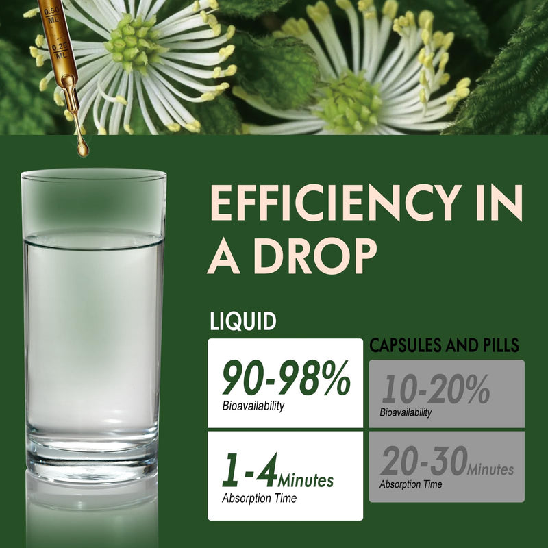 [Australia] - Goldenseal Root Extract Liquid Drop, 6-in-1 Formula for Immune and Respiratory Lung Health Support, Goldenseal Supplement with Echinacea Golden Seal, Mullein Thyme. Fast Absorption. 2oz Original 2 Fl Oz (Pack of 1) 