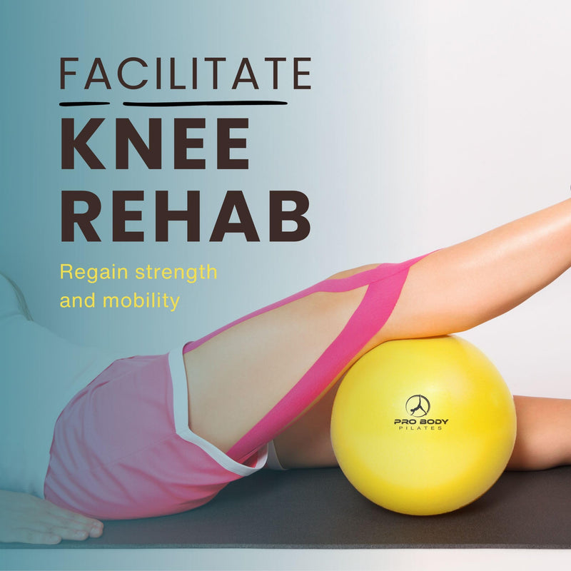 [Australia] - ProBody Pilates Ball Exercise Balls Physical Therapy, Small Exercise Ball for Between Knees, 9 Inch Core Ball, Stability Ball or Barre Ball for Rehab, Yoga, Physical Therapy Ball Yellow 