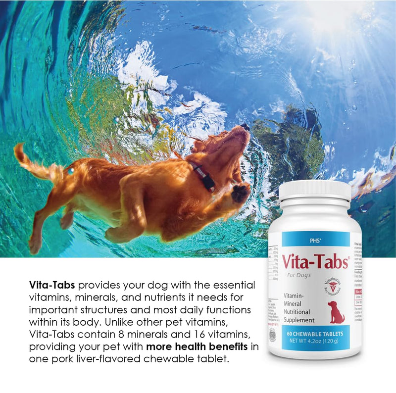 Vita-Tabs - Essential Vitamins, Minerals, Nutrients - Health Supplement for Dogs - Support Immune System, Bones - Liver Flavored - 250 Chewable Tablets - PawsPlanet Australia