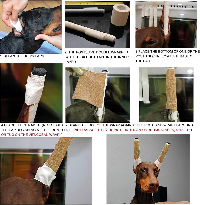 Pacify Doberman Dog Ear Posting Kit, Dog Ear Stand Up Support Tool with Tape Doberman Pinscher Dogs - PawsPlanet Australia