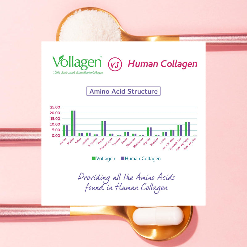 Vegan Collagen & Hyaluronic Acid Complex - 60 Capsules - Effective Skin, Hair & Nails Formula with 500mg of Vollagen in The Exact Amino ratios of Human Collagen - D-Biotin, Seaweed, Vitamins E&C