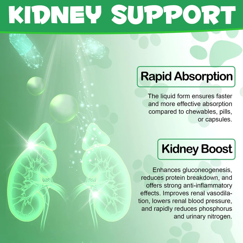 Kidney Support for Dogs, Kidney Support Herbal Supplement Drops Supports Healthy Kidney Function & Urinary Tract Health in Dogs Restoring Normal Appetite 2 oz - PawsPlanet Australia