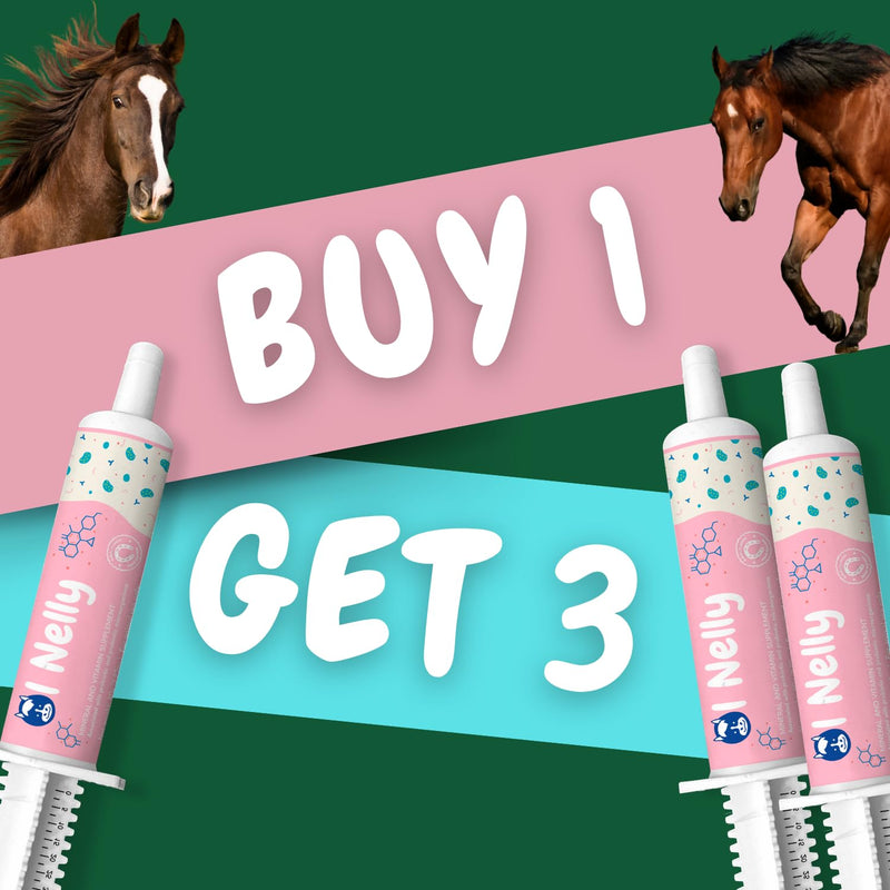 Horse Probiotics, Horse Paste Pre and Probiotics- Pre and Probiotics for Horses +Vitamins &Minerals- 4 Strains and 8 Billion CFU Serving- Immune and Gastro Health Support for Equines (80cc) Horse Probiotic Pack of 1 - PawsPlanet Australia