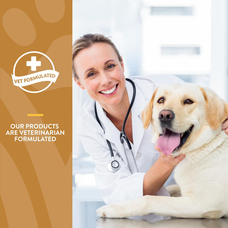 NaturVet Skin and Coat Plus Breath Aid for Dogs, 70 ct Soft Chews, Made in The USA with Globally Source Ingredients - PawsPlanet Australia