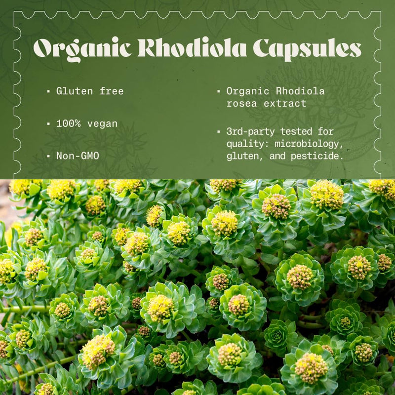 NaturaleBio Organic Rhodiola Rosea 120 Capsules. 1000mg. 100% Vegan Extract (5:1). 2 Month Supply. Traditionally Used to Help Maintain Resilience to Stress.