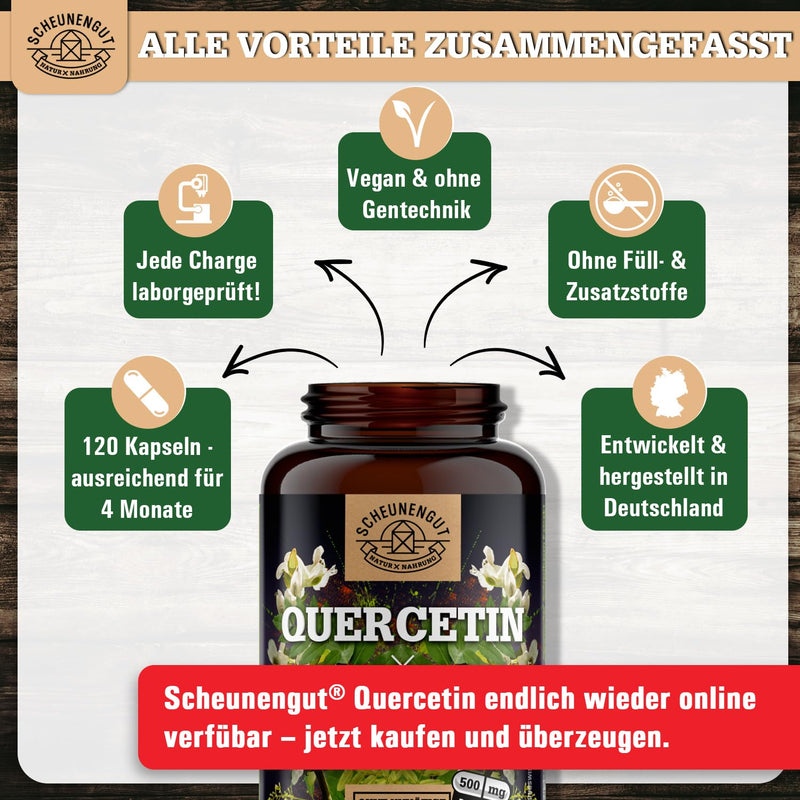 [Australia] - Quercetin -1000mg per daily dose- IMPORTANT: 25:1 extract (25000mg Japanese cord tree per dose) I Quercetin high dose I 120 pieces I Quercetin 500mg per capsule -DE- SCHEUNENGUT® 