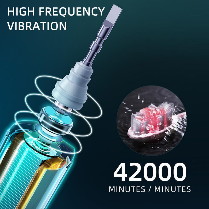 Sonic Electric Toothbrush with 10 Brush Heads for Adults and Children, Up to 30 Days on a Single Charge,5 Modes,Built-in 2-Minute Smart Timer, IPX8 Waterproof Electric Toothbrush (Black White) Black-white