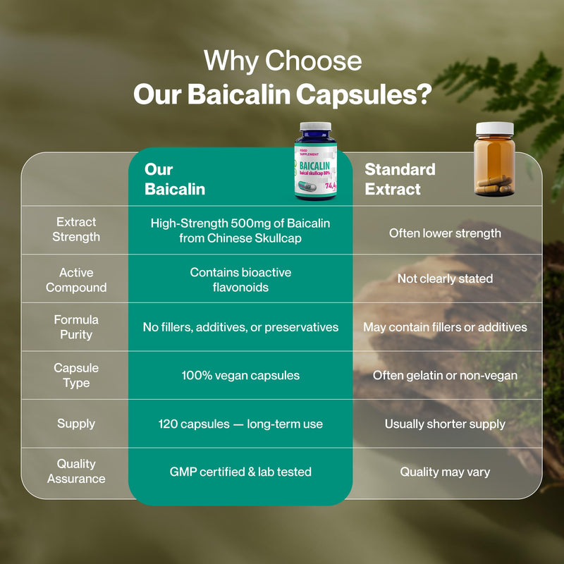 Hepatica Baicalin (Chinese Skullcap) | Standardised to 80% Baicalin (400mg) | 500mg Scutellaria Baicalensis Extract | 120 Vegan Capsules | 4-Month Supply | 3rd Party Lab Tested