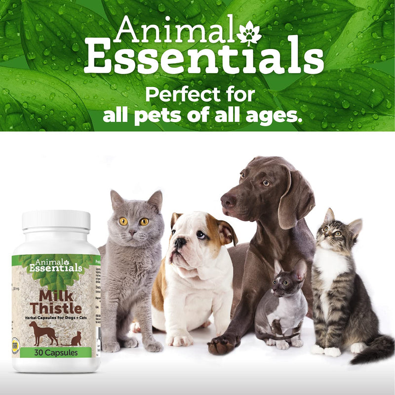Animal Essentials Milk Thistle Liver Support for Dogs and Cats, 30 Capsules - Made in USA Liver Supplement - PawsPlanet Australia