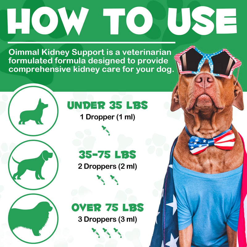 Kidney Support for Dogs, Kidney Support Herbal Supplement Drops Supports Healthy Kidney Function & Urinary Tract Health in Dogs Restoring Normal Appetite 2 oz - PawsPlanet Australia
