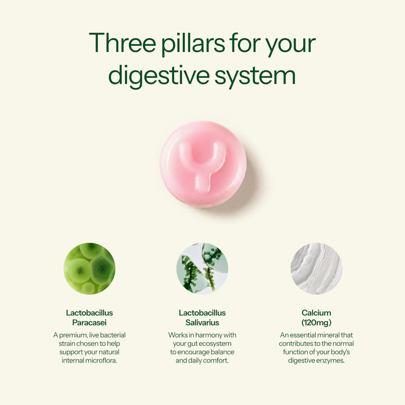 Gut Health Probiotic Gummies for Digestive Comfort & Gut Balance with Lactobacillus & Calcium, Supports Healthy Digestion, Strawberry Flavour, 60 Vegan Gummies