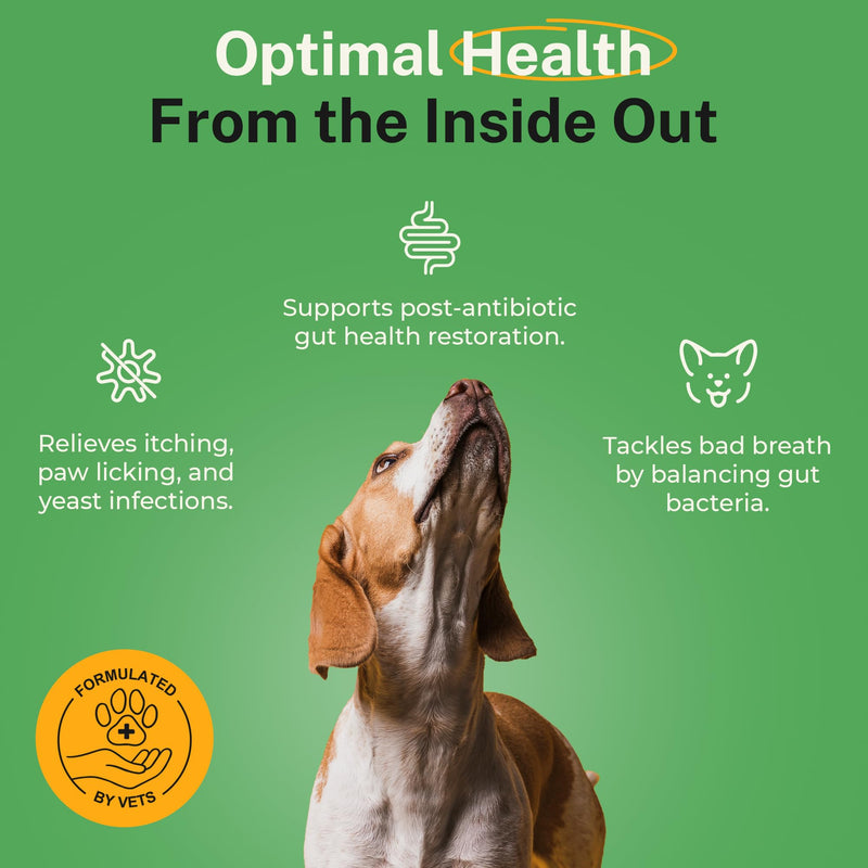 Probiotic for Dogs - Grain-Free Digestive Support Powder for Diarrhea, Bloating & Gas - Promotes Immune Support & Oral Health - Reduces Paw Licking, Allergies & Yeast Infections - 5.4 oz - 90 Scoops - PawsPlanet Australia