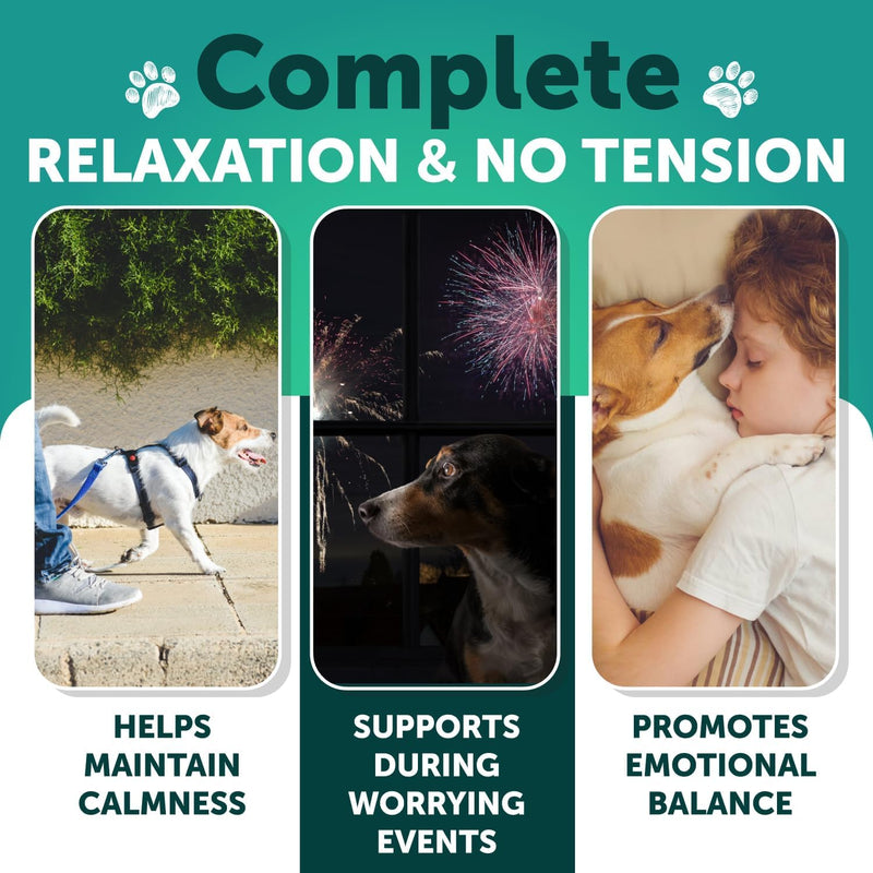 Hemp Calming Chews + Wild Alaskan Salmon Oil for Dogs Bundle - Advanced Dog Calming Chews - Anxiety Relief Treats - Dog Anxiety Relief - Hip and Joint Support - Salmon Oil for Dogs Skin and Coat - PawsPlanet Australia