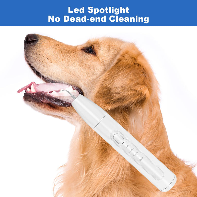 [Australia] - Dog Tooth Brushing Kit, Dogs Teeth Cleaning Kit with Led Light, 3 Modes Doggie Plaque and Tartar Remover, Dental Care for Cat,Low Noise Ultrasonic Dog Teeth Cleaner, White 
