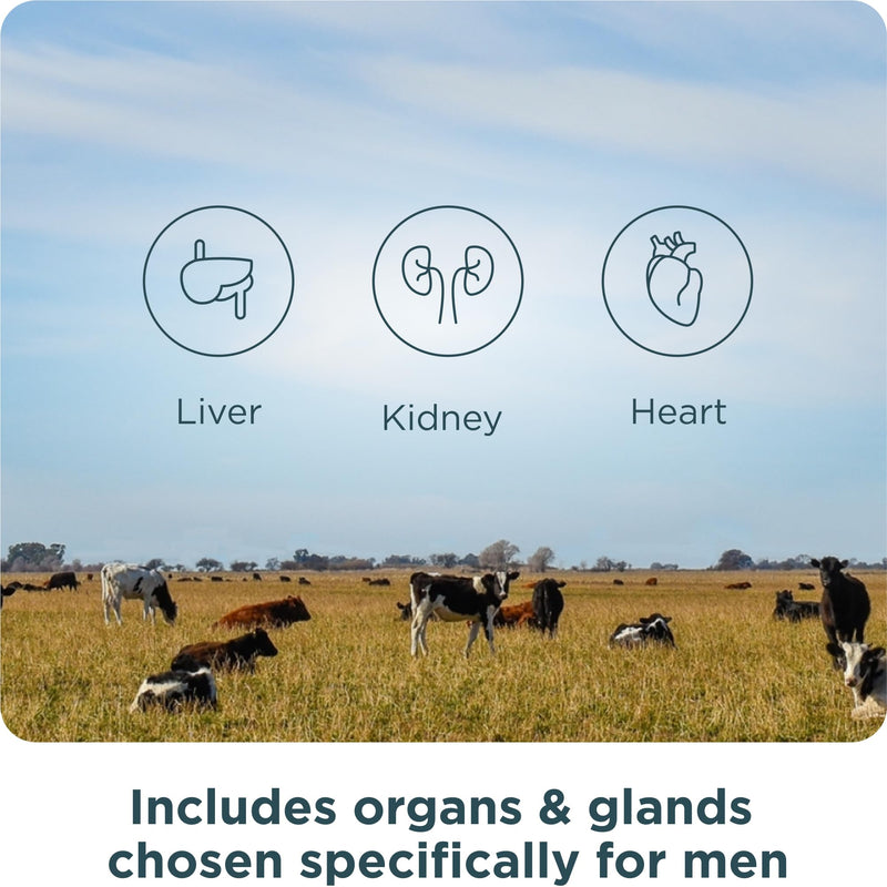 Ancient Nutrition Grass-Fed and Wild Organ Male Performance Tablets