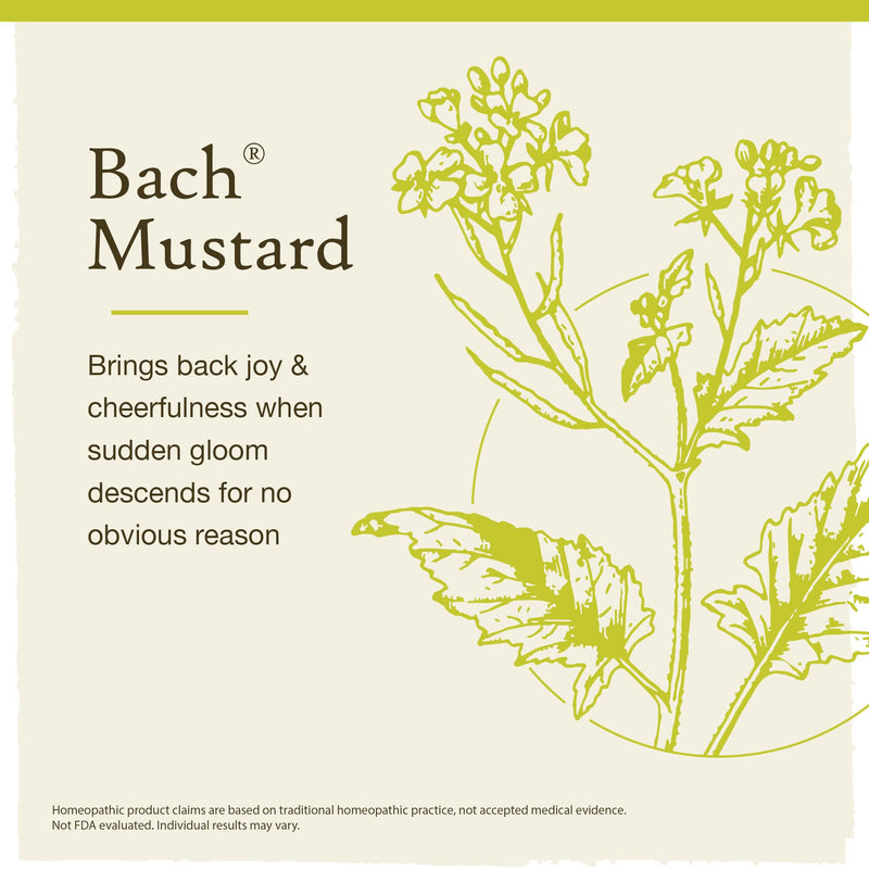 [Australia] - Bach Original Flower Remedies, Mustard for Joy (Non-Alcohol Formula), Natural Homeopathic Flower Essence, Holistic Wellness and Stress Relief, Vegan, 10mL Dropper 