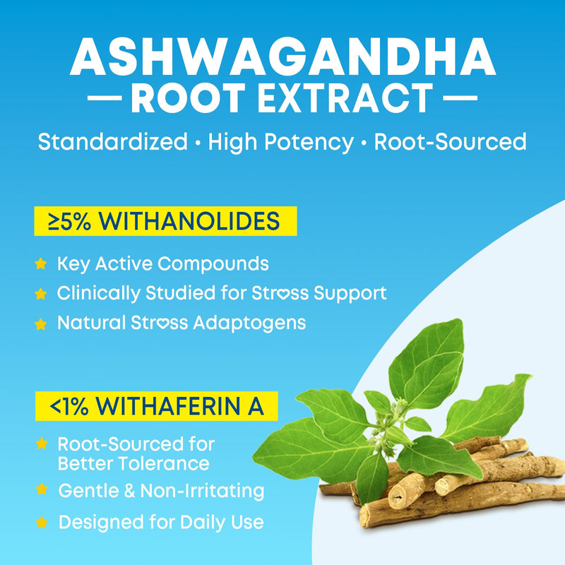 Ashwagandha Gummies for Women & Men - 180 Count - Ashwagandha Supplements with L-Theanine, GABA, Magnesium, Zinc & Vitamin D3, Non-GMO, Sugar Free & Gluten Free Mixed Berry 90 Count (Pack of 2)