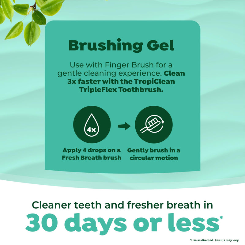[Australia] - TropiClean Fresh Breath Dog Oral Care Kit | Complete Toothbrush and Toothpaste Set for Plaque & Tartar Control | Tooth Brushing Kit for Large Animals Large Dog Original Kit 