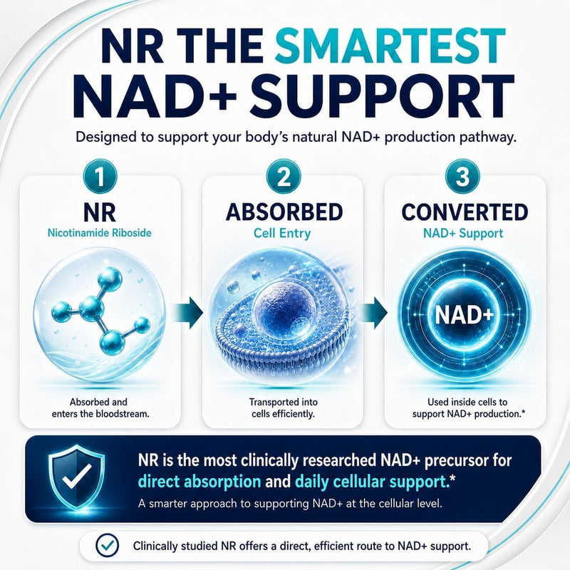 NAD+ Trans Resveratrol Supplement (4-in-1), Pure Nicotinomide Riboside, Quercetin and Galactomannans, Alternative to NAD, NADH & NMN, Anti-Aging Support | 60 Capsules | for Women and Men