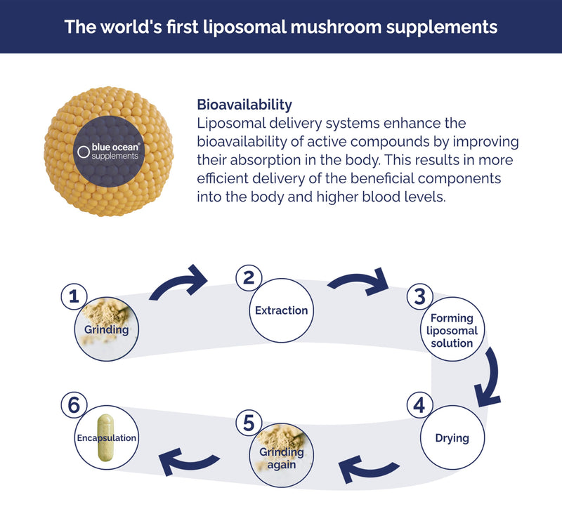 Shiitake – World’s First and Only Powerful Liposomal Mushroom Technology – 60 Capsules – 60 Days’ Supply – Take 1 Per Day – Vegan – Gluten Free