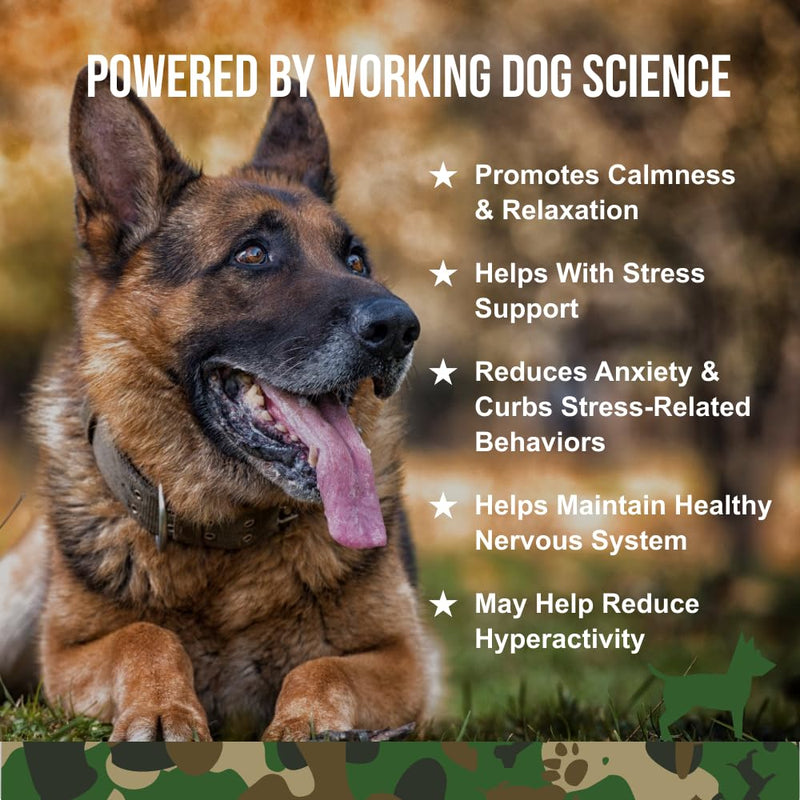 O.G.B. Operation Good Boy - SRE: Calming Supplement for Pets - 90 Count Soft Chews - 12.7oz - Alleviates Anxiety and Promotes Relaxation - Made Natural Ingredients - Veteran Owned - PawsPlanet Australia