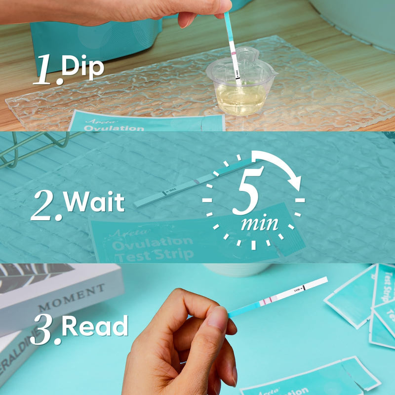 Areta Ovulation Test Strips Kit: 30 LH Fertility Tests for Women | Fast & Convenient Ovulation Predictor Kit Blue, Expiration Date 11/21/2026