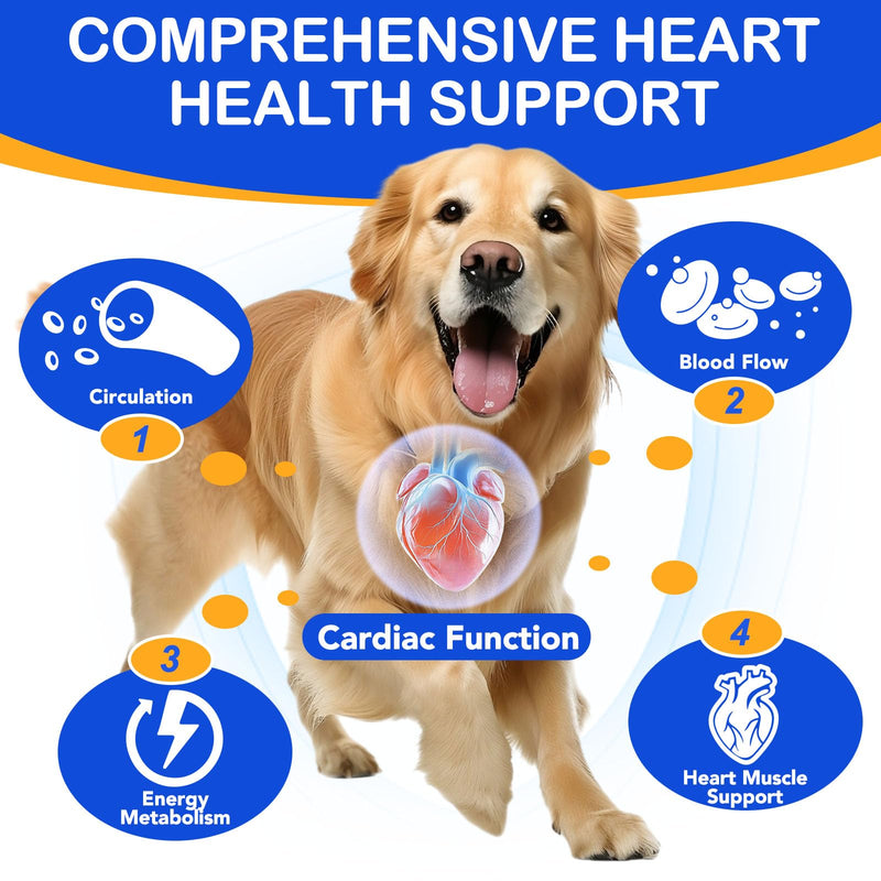 Taurine for Dogs Taurine Supplements for Dog Natural Amino Acid for Heart Health, Longevity, Digestive Health & Vision Pet vitamins and Supplements 60ml