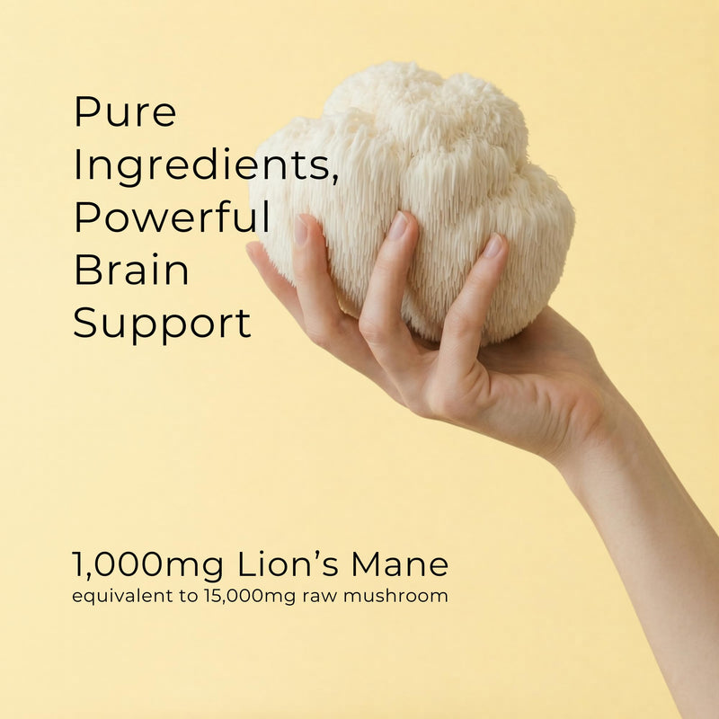 Lions Mane Mushroom Supplement | 1000mg Per Capsule | Dual Extract 50% Beta Glucan Supplements | 100% Fruiting Body | Memory & Focus | 60 Vegan Capsules | UK Made
