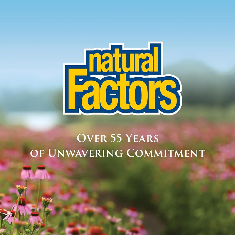 Natural Factors - Vitamin C 1000mg Time Release, Potent Antioxidant Protection, 90 Tablets 90 Count (Pack of 1)