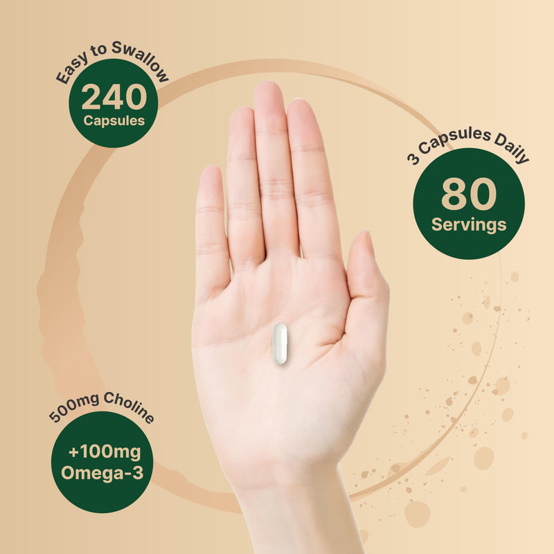 [Australia] - NatureBell Choline Supplements 500mg with Omega-3 Fatty Acids, 240 Capsules | High Potency Choline Bitartrate ‚Äì Prenatal Support During Pregnancy ‚Äì Promotes Energy, Liver, Brain, & Cognitive Health 