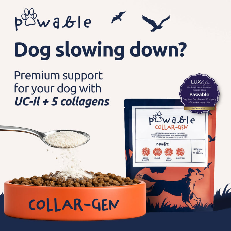 Collagen for Dogs | Dog Joint & Mobility Supplement with Hydrolysed Bovine & Eggshell Collagen | Supports Hips, Joints & Stiffness | Award-Winning | 225g Powder