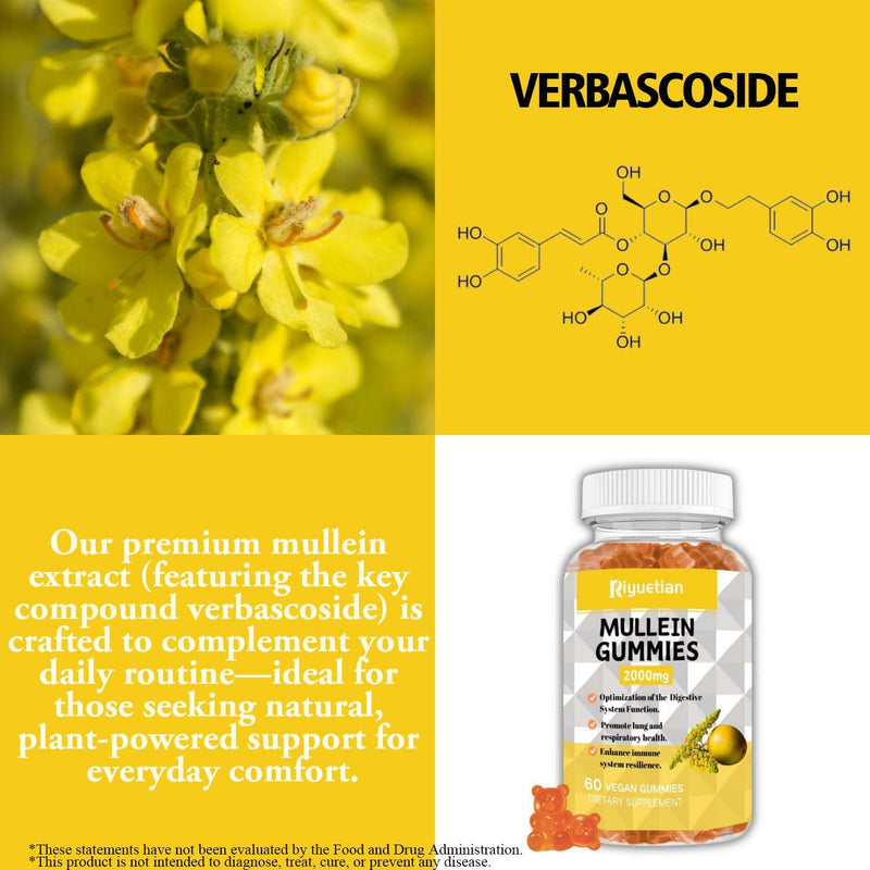 Mullein Gummies, 2000mg Organic Mullein Leaf Extract with Quercetin, Bromelain & Vitamin D3, Mullein Leaf Extract for Respiratory, Natural Lung Cleanse, Improve Appetite, Vegan, Non-GMO, 2 Pack 60 Count (Pack of 2)